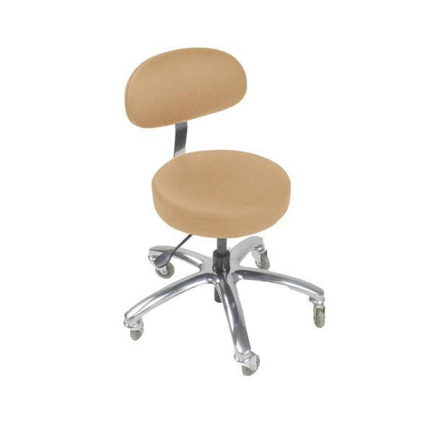 Image of Touch America Pro Stool with Back, Standard Height