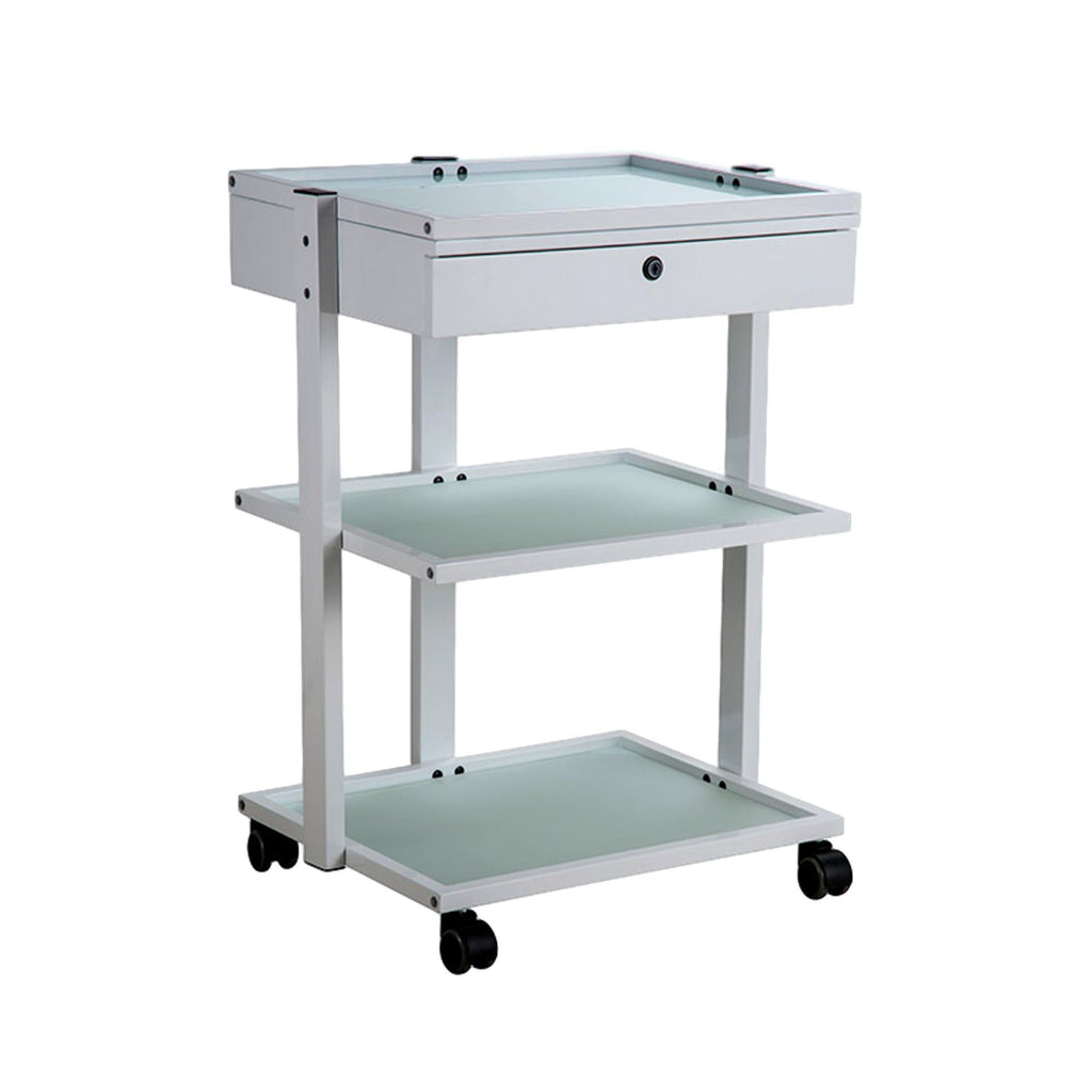 Esthetic Tables & Chairs Silver Fox Trolley 23" x 18"